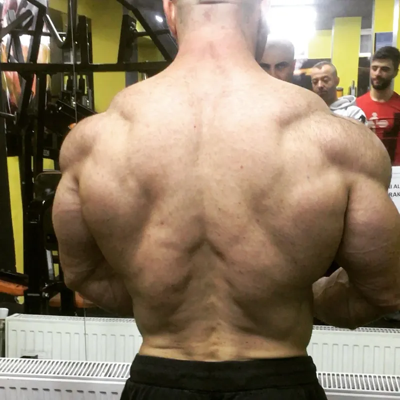 Rıfat Sipahioğlu - Flex FIT Batman